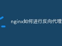 nginx如何进行反向代理配置-路由网