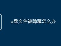 u盘文件被隐藏怎么办-路由网