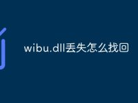 wibu.dll丢失怎么找回-路由网