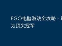 FGO电脑游戏全攻略，助你成为顶尖冠军-路由网