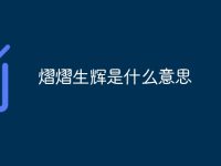 熠熠生辉是什么意思-路由网