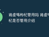 肾虚喝枸杞管用吗 肾虚喝枸杞是否管用介绍-路由网