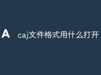 caj文件格式用什么打开-路由网