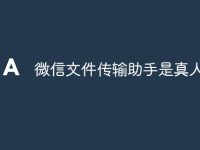微信文件传输助手是真人吗-路由网