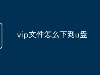 vip文件怎么下到u盘-路由网