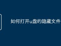 如何打开u盘的隐藏文件-路由网