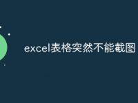 excel表格突然不能截图-路由网