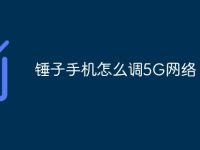 锤子手机怎么调5G网络-路由网