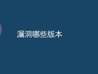 漏洞哪些版本-路由网