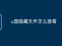 u盘隐藏文件怎么查看-路由网