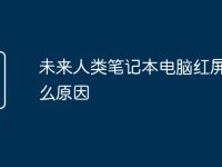 未来人类笔记本电脑红屏是什么原因-路由网
