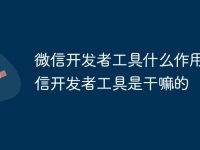 微信开发者工具什么作用 微信开发者工具是干嘛的-路由网