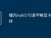 镭风hd6570速甲蜥显卡怎么样-路由网