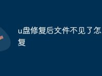 u盘修复后文件不见了怎么恢复-路由网