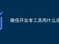 微信开发者工具用什么语言-路由网