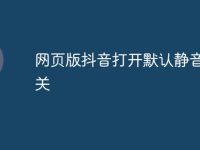 网页版抖音打开默认静音怎么关-路由网