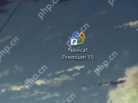 navicat premium怎么连接数据库?-路由网