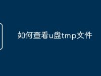 如何查看u盘tmp文件-路由网