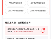 图文详解:京东白条可以提前还款吗?提前还款还有利息吗?-路由网