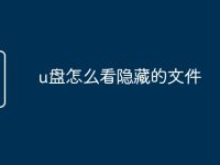 u盘怎么看隐藏的文件-路由网