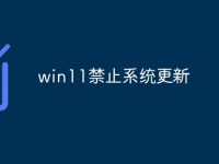 win11禁止系统更新-路由网