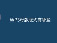 WPS母版版式有哪些-路由网