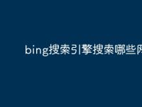 bing搜索引擎搜索哪些网站-路由网