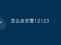 怎么去交管12123-路由网