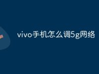 vivo手机怎么调5g网络-路由网