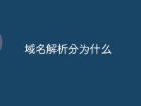 域名解析分为什么-路由网