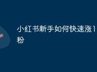 小红书新手如何快速涨1000粉-路由网