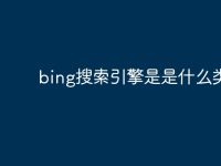 bing搜索引擎是是什么类型-路由网