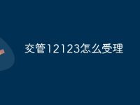 交管12123怎么受理-路由网