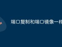 端口复制和端口镜像一样吗-路由网