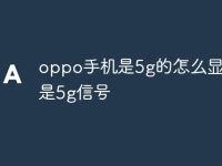 oppo手机是5g的怎么显示不是5g信号-路由网