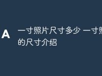 一寸照片尺寸多少 一寸照片的尺寸介绍-路由网