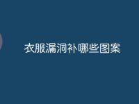 衣服漏洞补哪些图案-路由网