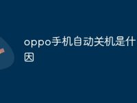 oppo手机自动关机是什么原因-路由网