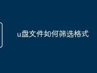u盘文件如何筛选格式-路由网