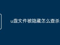 u盘文件被隐藏怎么查杀-路由网