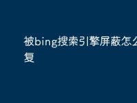 被bing搜索引擎屏蔽怎么恢复-路由网