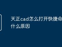 天正cad怎么打开快捷命令是什么原因-路由网