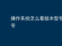 操作系统怎么看版本型号和型号-路由网