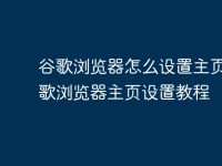 谷歌浏览器怎么设置主页 谷歌浏览器主页设置教程-路由网