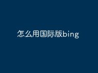 怎么用国际版bing-路由网