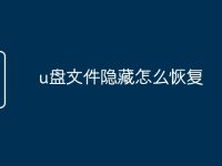 u盘文件隐藏怎么恢复-路由网