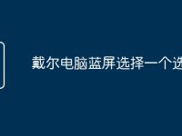 戴尔电脑蓝屏选择一个选项-路由网
