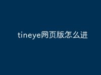tineye网页版怎么进-路由网