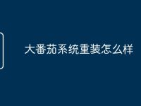 大番茄系统重装怎么样-路由网