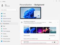 微软 Win11 开发重心偏向 AI,两项壁纸功能可能已被放弃-路由网